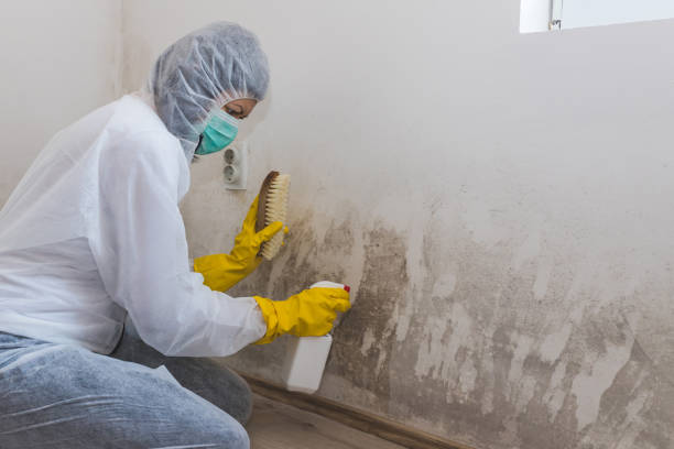 Water Damage Restoration in California City, CA
