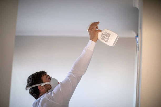 Best Black Mold Removal  in Lifornia City, CA